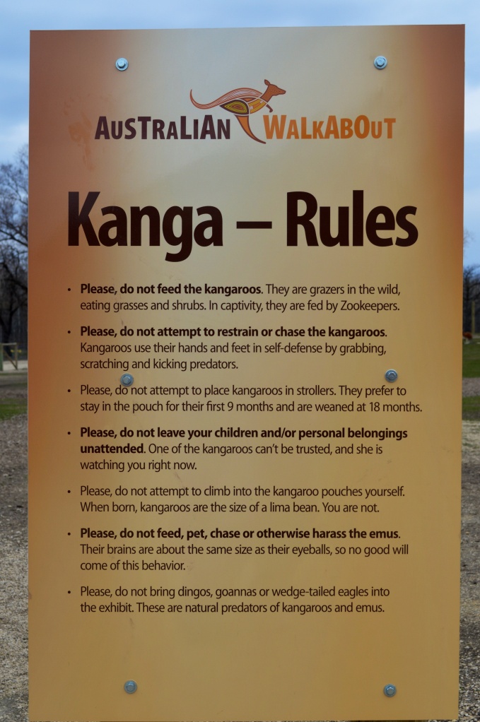 The rules for the walkabout. 