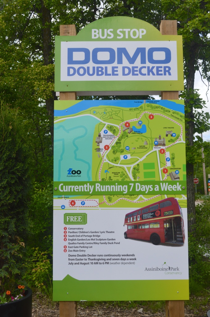 This week I decided to park my car at the park and take the FREE Double Decker bus to the zoo. 