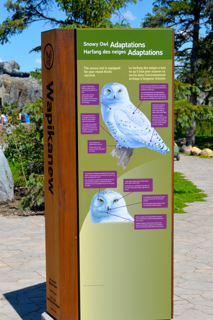 A new sign in the snowy owl area.
