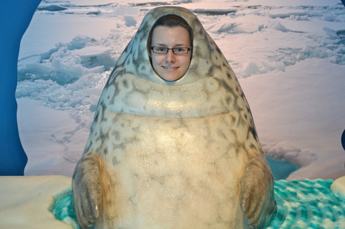 Another new part of the Journey to Churchill exhibit is this photo op. Where kids can put there  faces in a giant seal. This was here for the grand re-opening I just never did post a photo of it.